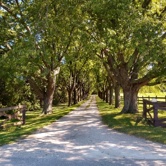 Meet your Posher, Brooke - Picture 2 of 2